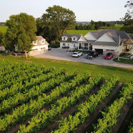 Villa In The Vines Niagara-on-the-Lake Eksteriør bilde