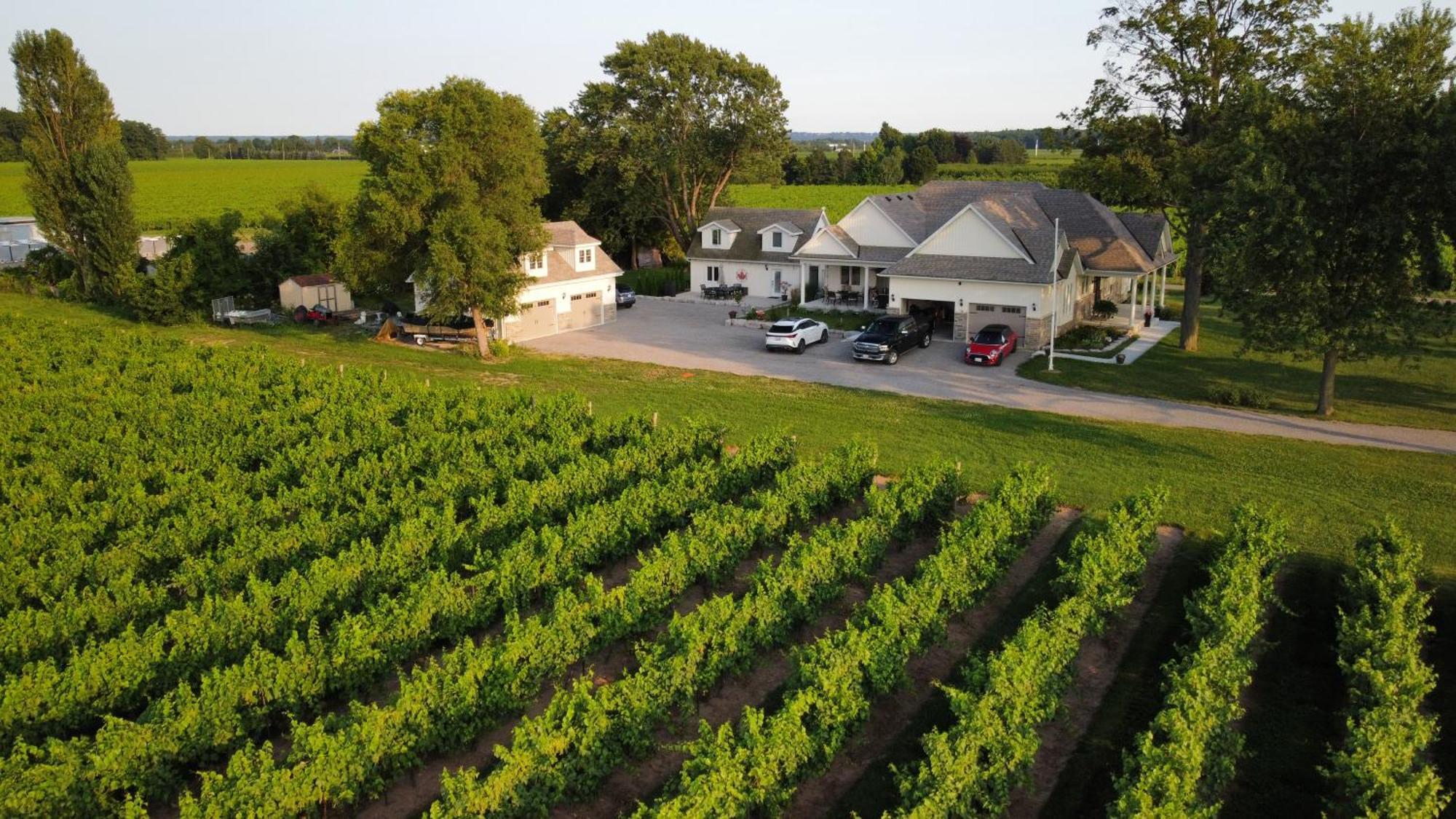 Villa In The Vines Niagara-on-the-Lake Eksteriør bilde